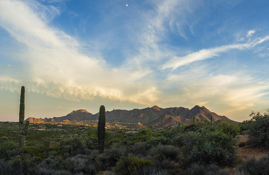 Nature Photograph - Desert Lookout by Brad Scott
