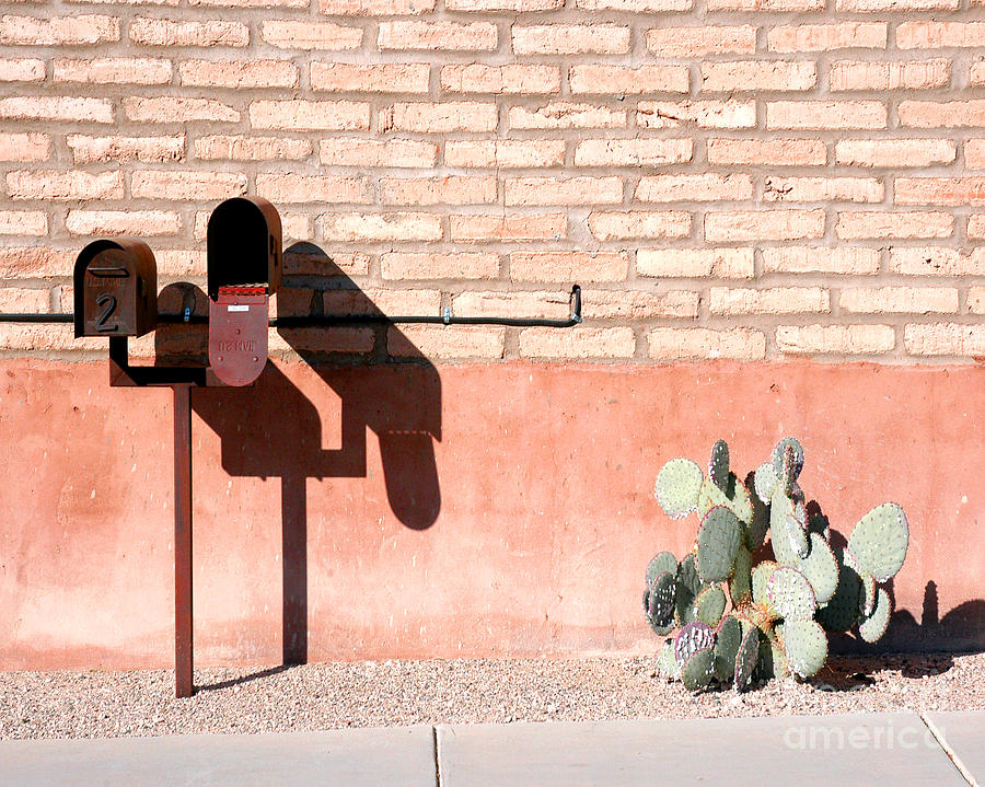 Desert Mailboxes Photograph by Jillian Audrey Photography
