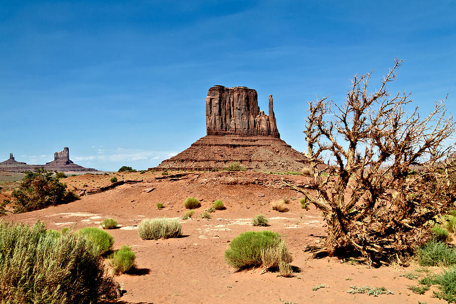 Wild Wild West Photograph - Desert Mitten by Her Arts Desire