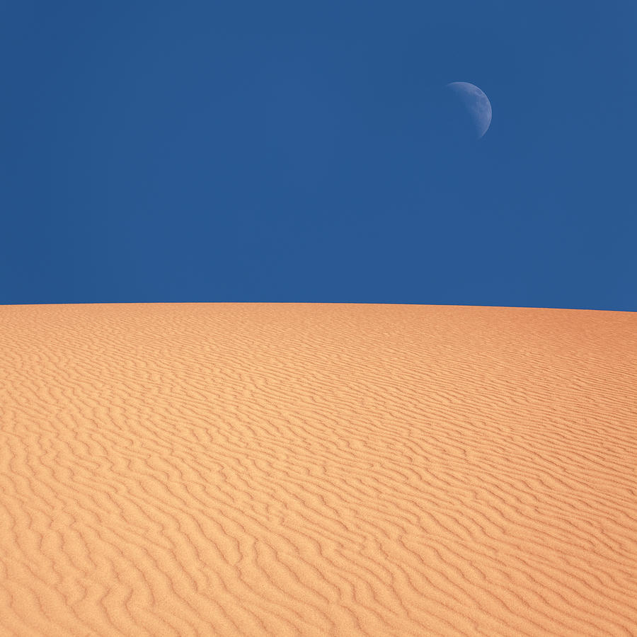 Desert Moon Photograph by Lordrunar