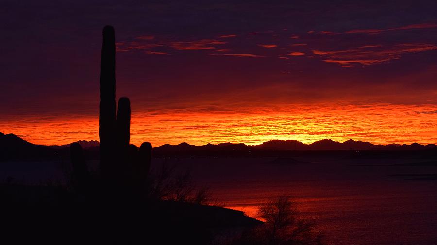 Desert Morning Glow Photograph by Mark Mitchell