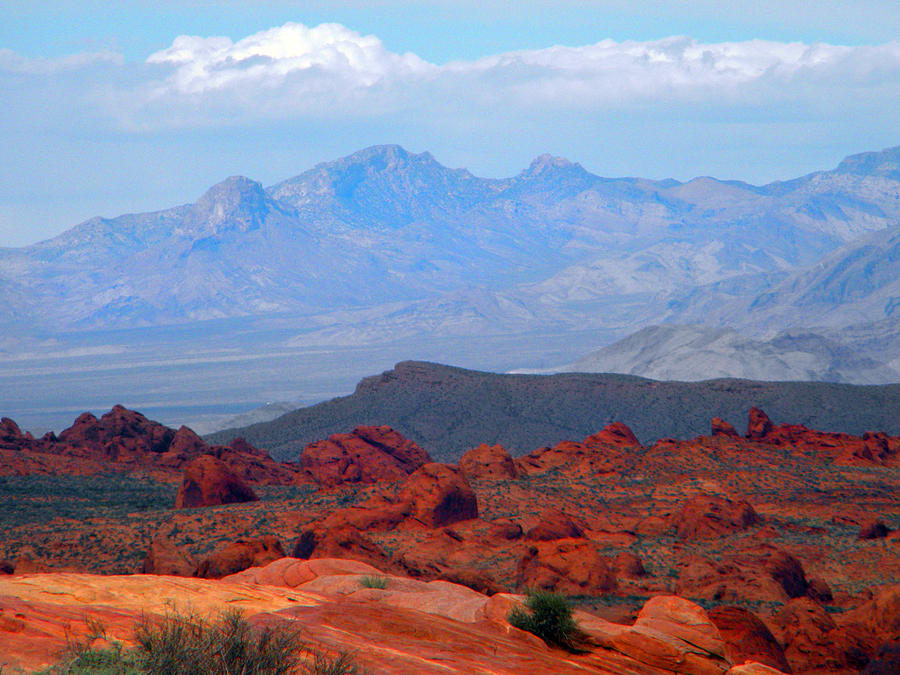 Desert Mountain Vista Photograph by Frank Wilson