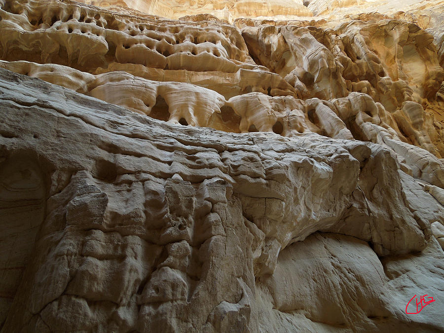 Desert Photograph - Desert natural Formations Sinay Egypt by Colette V Hera Guggenheim