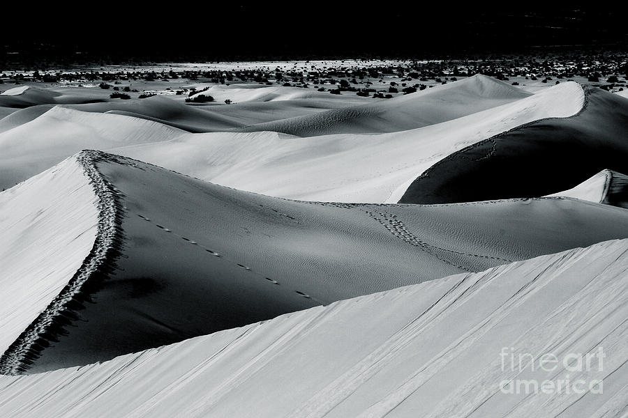 Black And White Photograph - Desert Night Death Valley By Diana Sainz by Diana Raquel Sainz