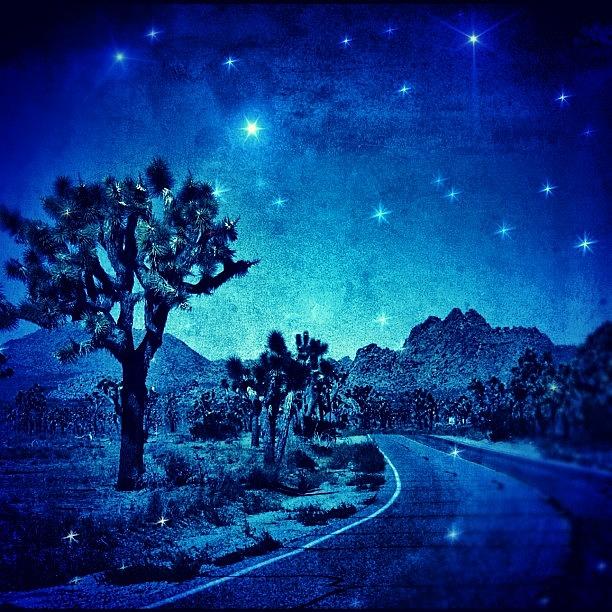 Desert Photograph - #desert #night #nationalpark #darkness by Jill Battaglia