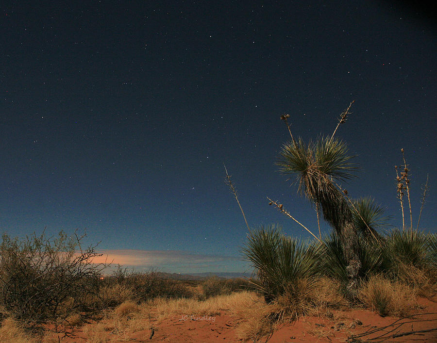 Desert Nights Photograph by JC Findley