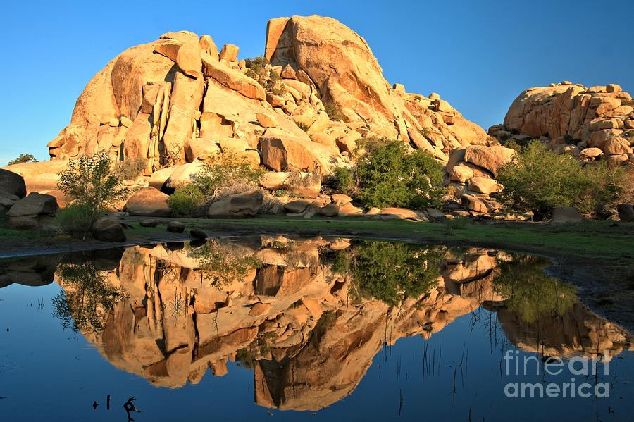 Desert Oasis Reflections Photograph by Adam Jewell