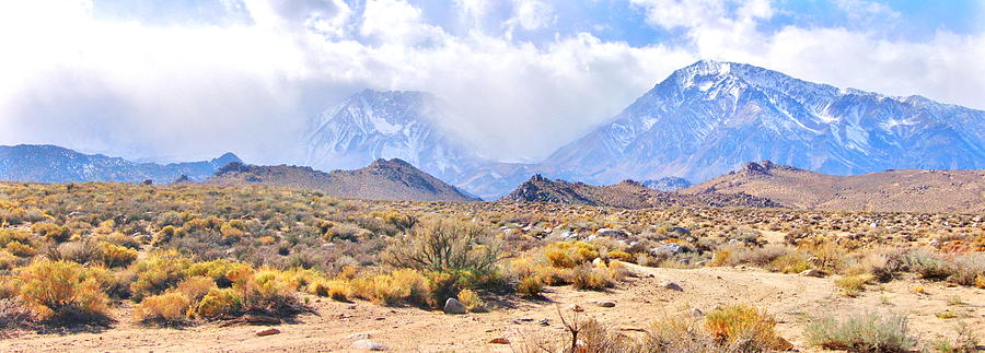 Desert Panorama Photograph by Marilyn Diaz