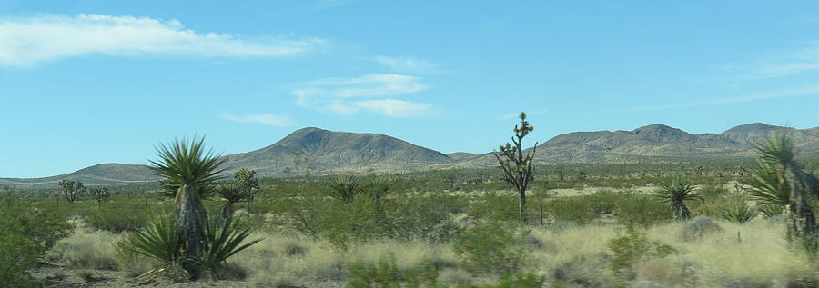 Mountain Photograph - Desert Panoramic by Kay Novy