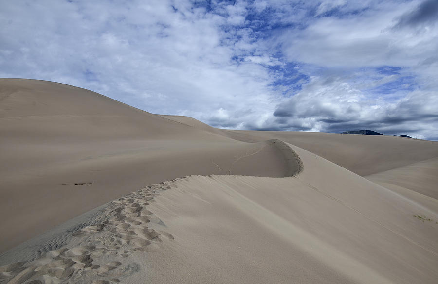 Desert Path Photograph by Ryan Scatenato - Fine Art America