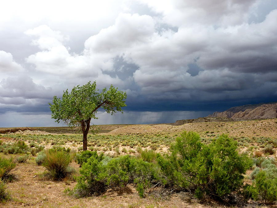 Desert Rain Clouds Photograph By Gerry Childs
