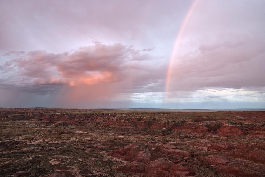 American Landmark Photograph - Desert Rain by Melany Sarafis