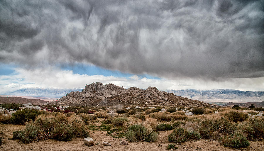 Desert Rain Storm Photograph by Cat Connor