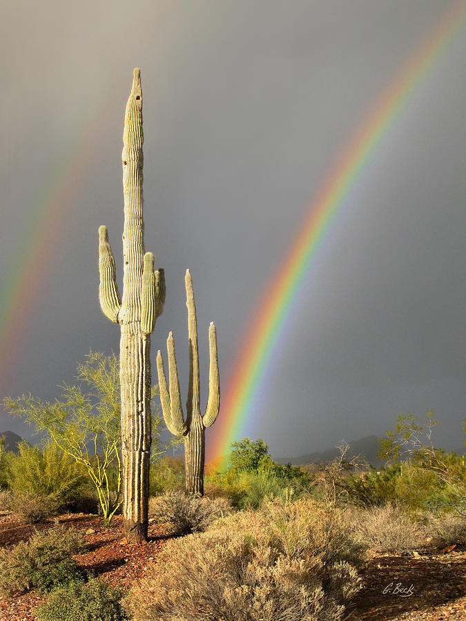 Desert Rainbow Photograph by Gordon Beck