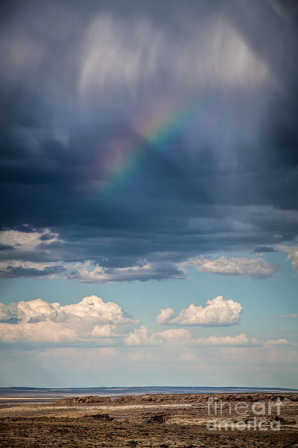 Desert Rainbow Photograph by Jim McCain