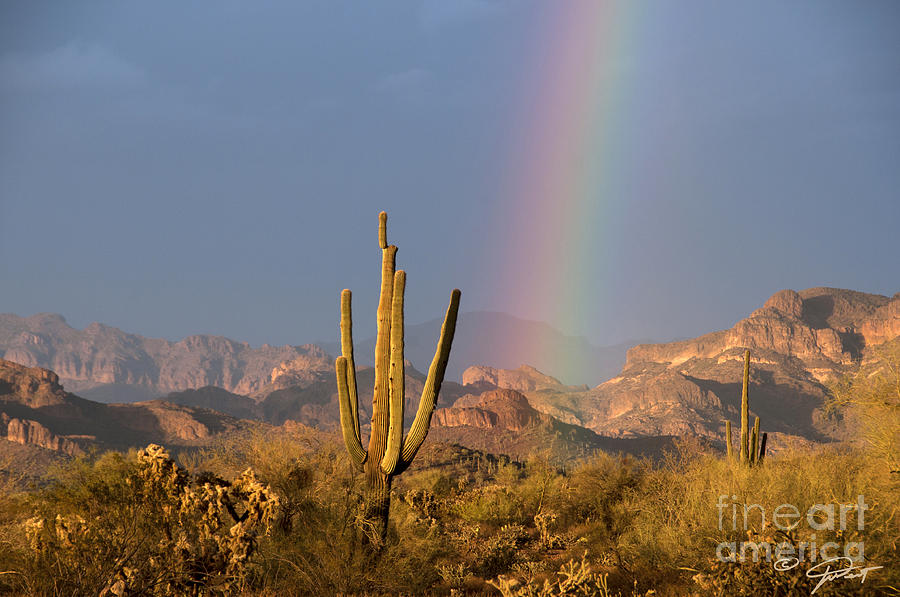 Desert Rainbow of Grace Photograph by Joanne West