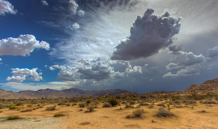 Desert Rains Photograph by Jackie Novak - Fine Art America