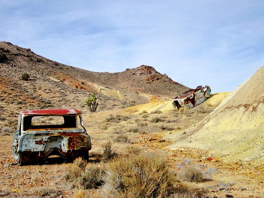 Desert Relics Photograph by Marilyn Diaz