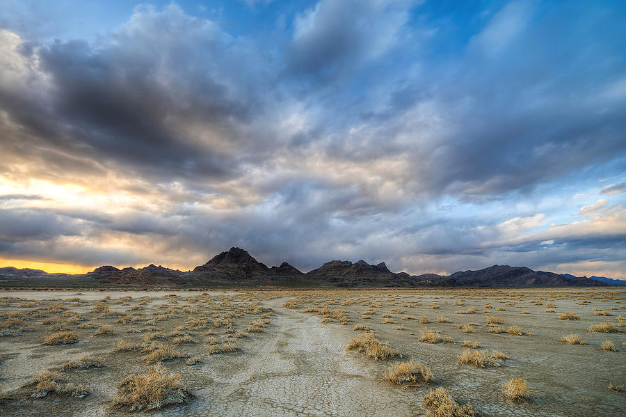 Desert Road Photograph by Dustin LeFevre