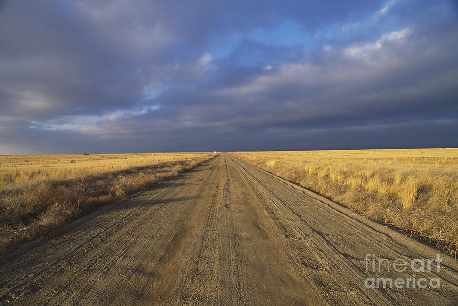 Transportation Photograph - Desert Road Idaho by William H Mullins