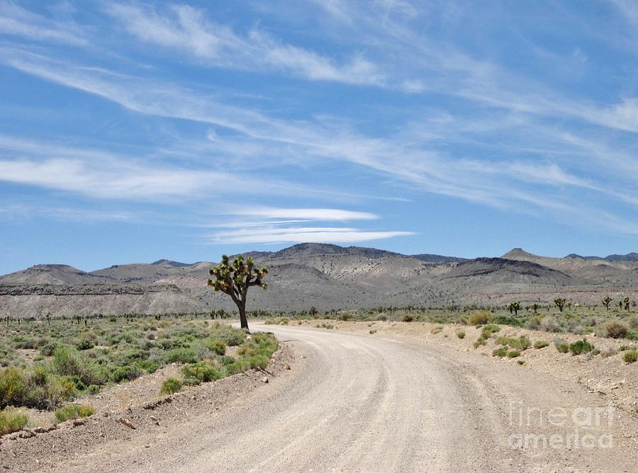 Desert Road Photograph by Marilyn Diaz