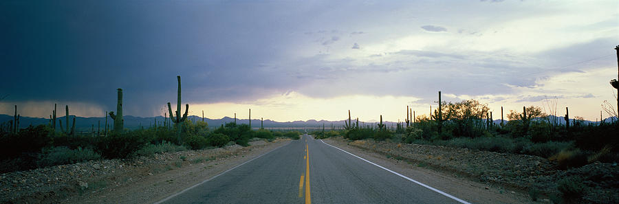 Desert Road Near Tucson Arizona Usa Photograph by Panoramic Images ...