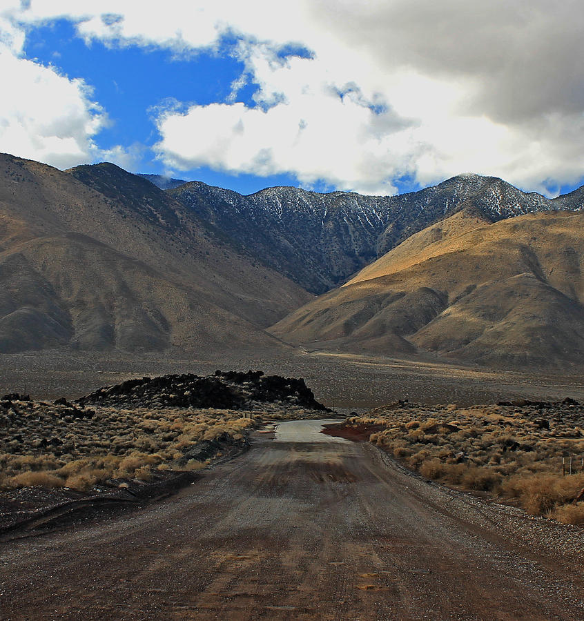 Desert Road Photograph