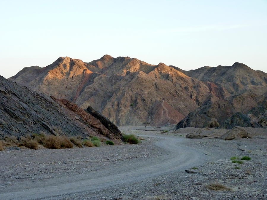 Desert road Photograph by Rita Adams