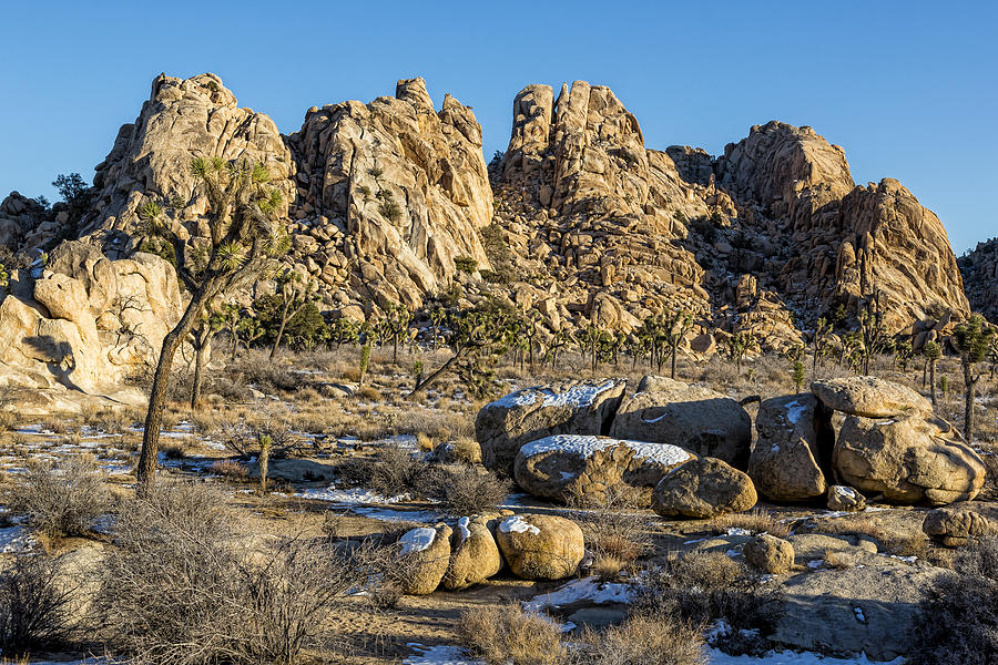 Desert Rocks Photograph by Kelley King
