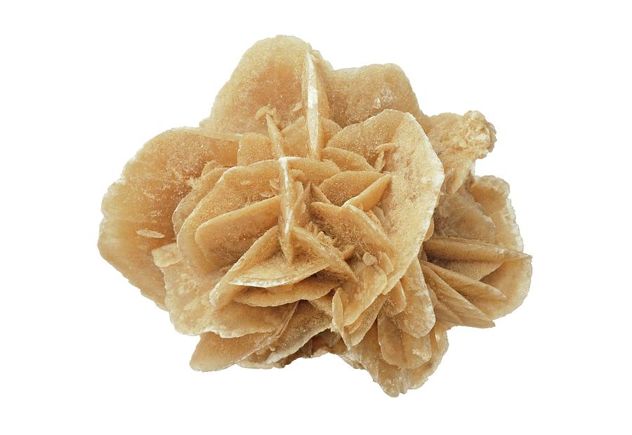 Desert Rose Of Gypsum Crystals Photograph by Michael Clutson/science Photo Library