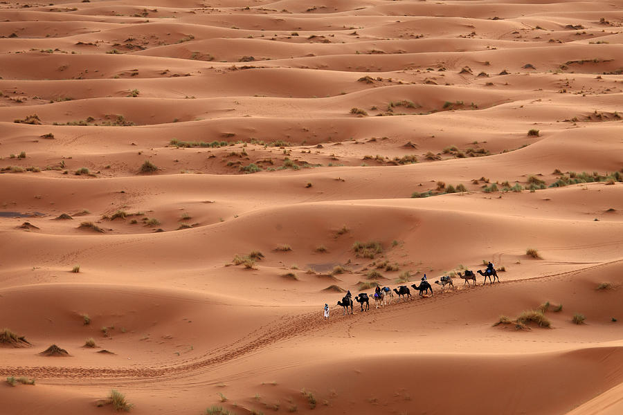 Desert Sahara, Camel Ride Caravan, Enjoying and happy People Photograph by Danm