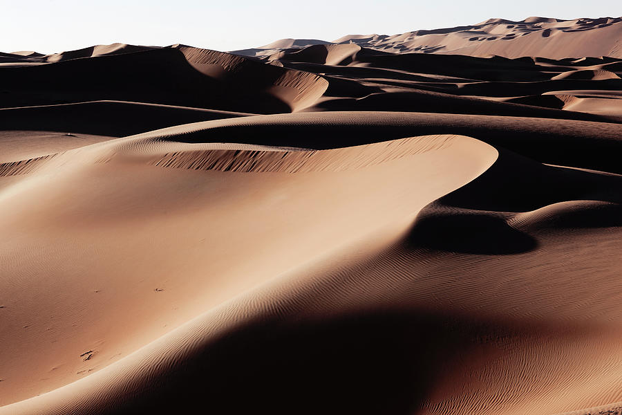 Desert Sand Dunes At Liwa Oasis Uae Photograph by Gary John Norman