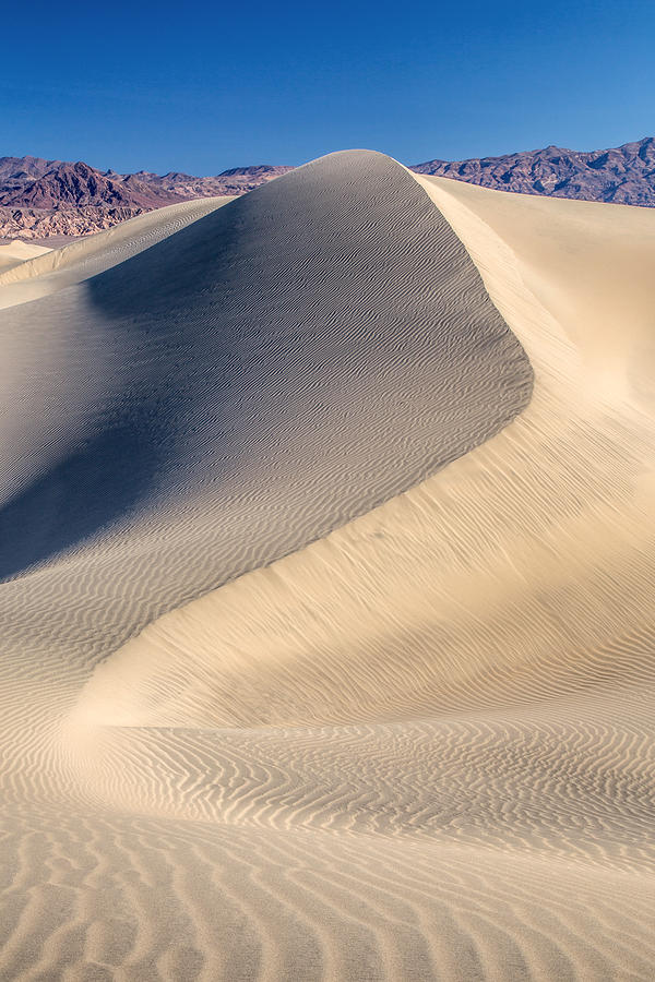 Desert Sand Dunes Photograph by Pierre Leclerc Photography