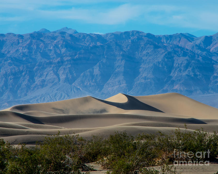 Desert Sands Photograph by Stephen Whalen