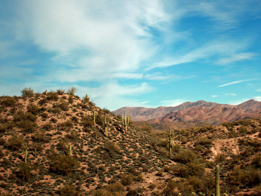 Desert Scene Photograph by Kami McKeon