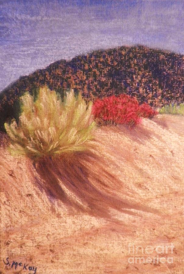 Desert Shadows Painting by Suzanne McKay