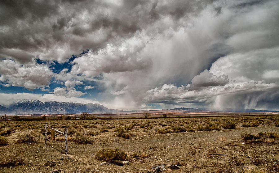 Desert Showers Photograph by Cat Connor