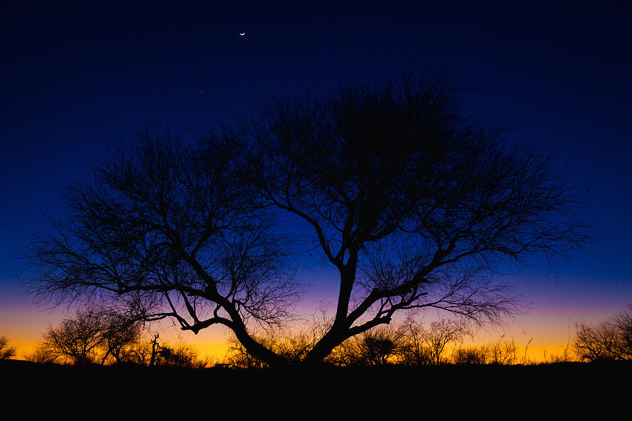 Desert Silhouette Photograph by Chad Dutson