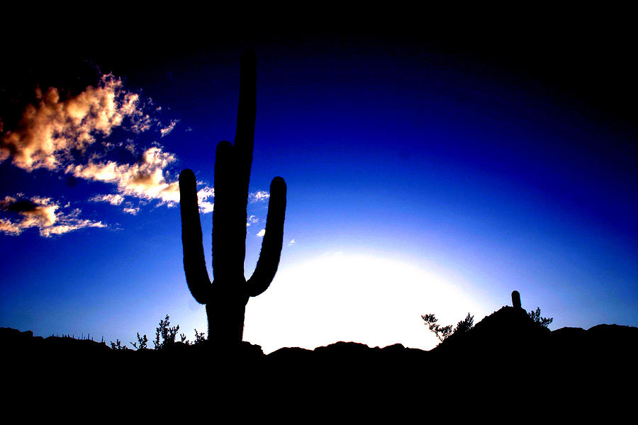 Desert Silhouette Photograph by Mac Kenney - Pixels