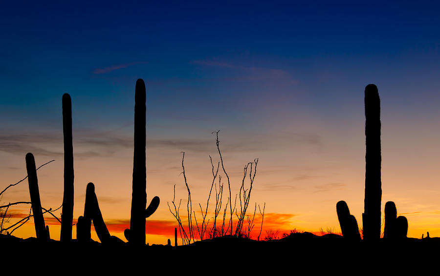 Desert Sky Photograph by Barbara Manis | Fine Art America