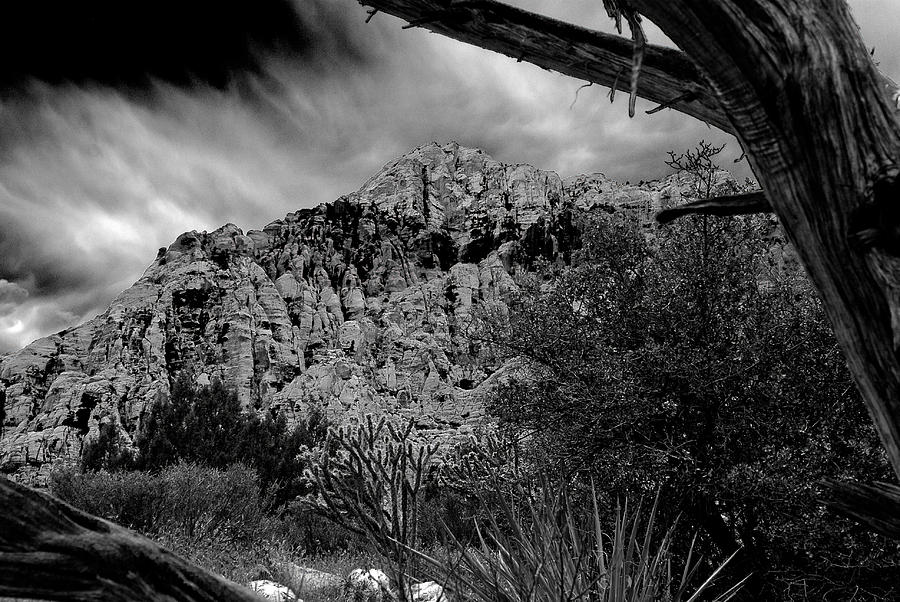 Desert Slendor Photograph by Chris McKenna
