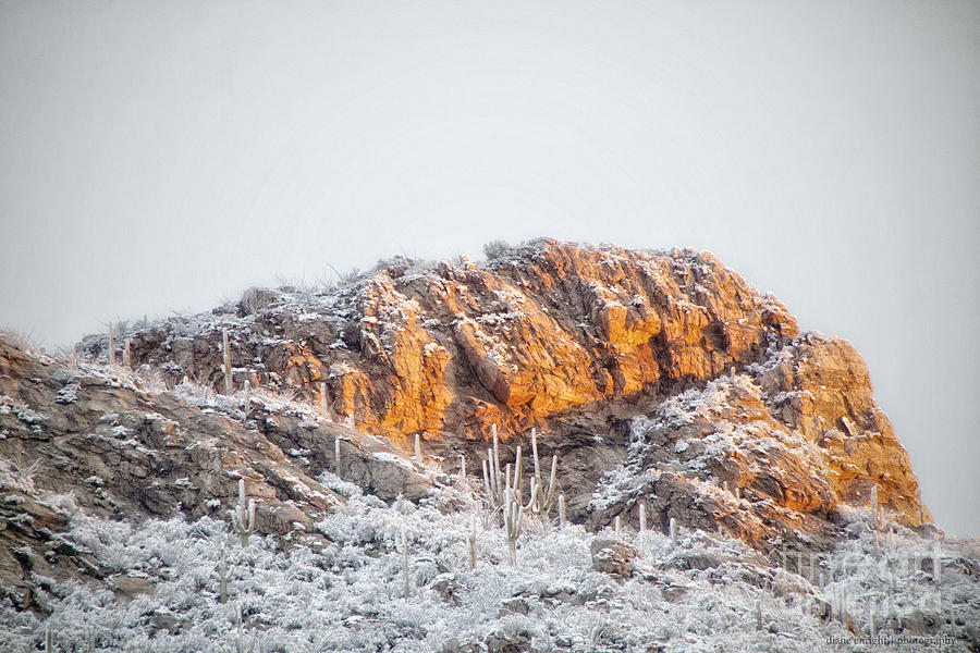 Desert Snow at Sunrise Photograph by Diane Enright
