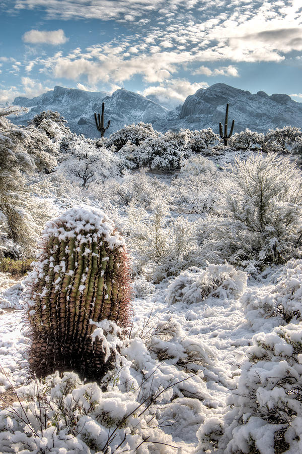 Desert Snow Photograph by James Capo