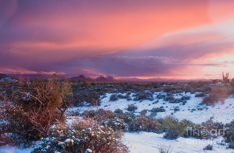 Desert Snow Photograph by Tamara Becker