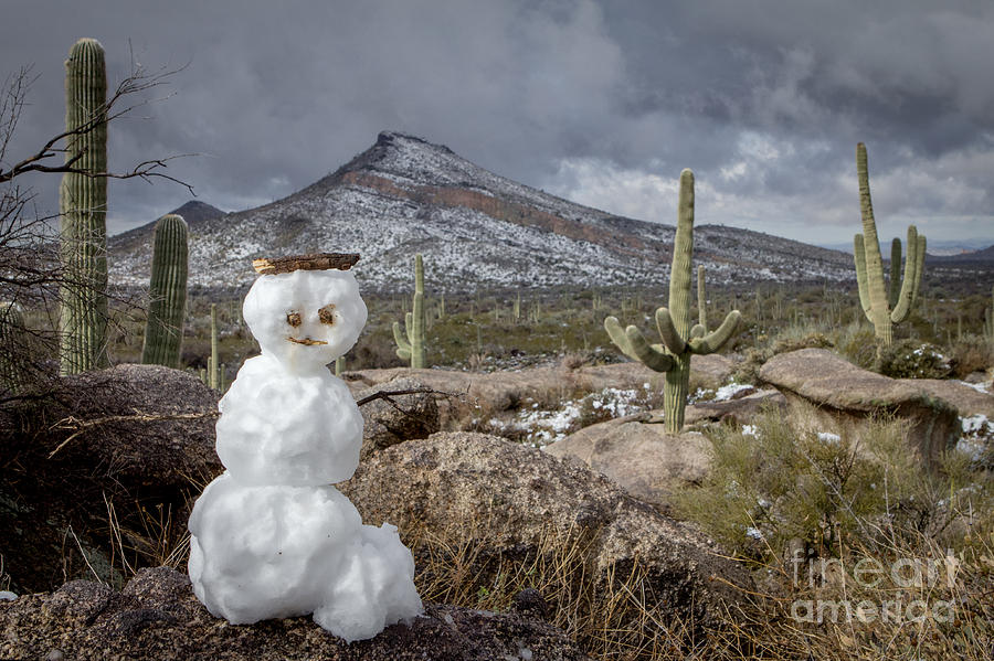 Desert Snowman Photograph by Marianne Jensen