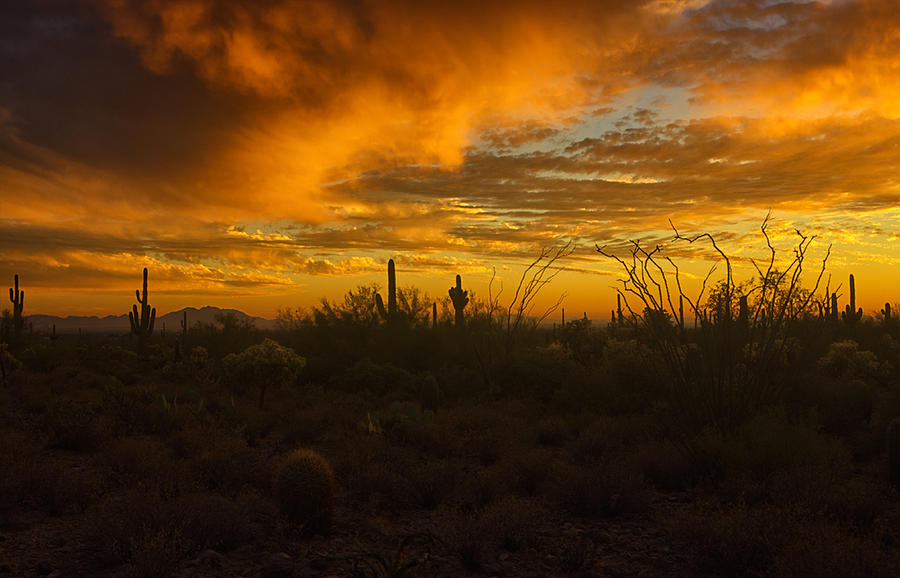 Sunset Photograph - Desert Southwest Skies  by Saija Lehtonen
