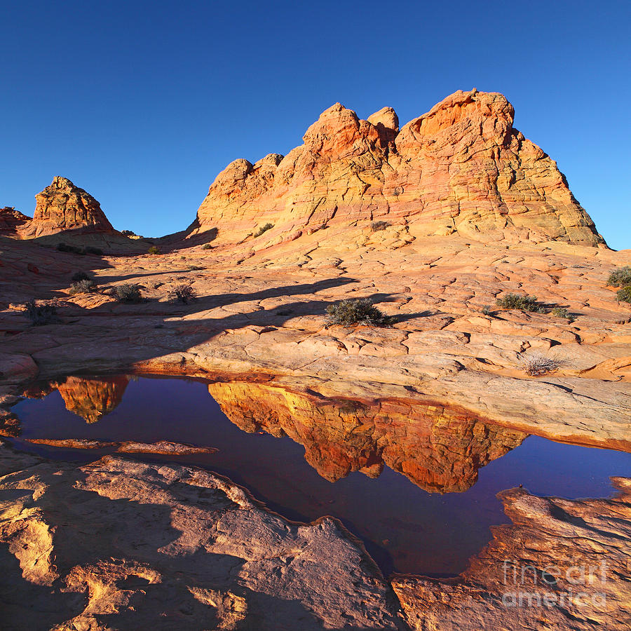 Nature Photograph - Desert Splash by Bill Singleton