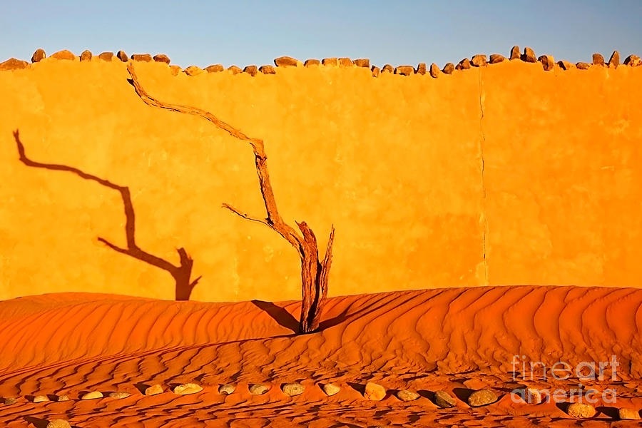 Kate Mckenna Photograph - Namibia Desert Still Life by Kate McKenna