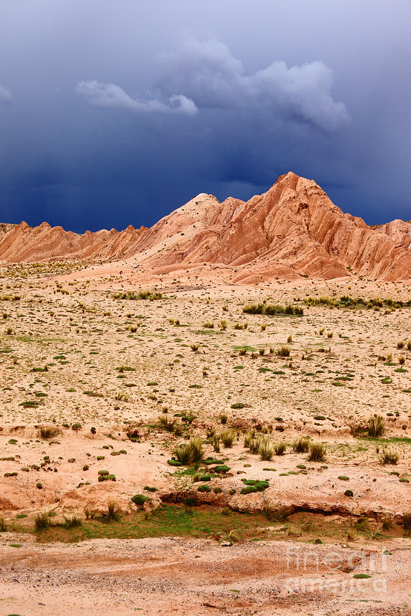 Desert Storm 1 Photograph by James Brunker