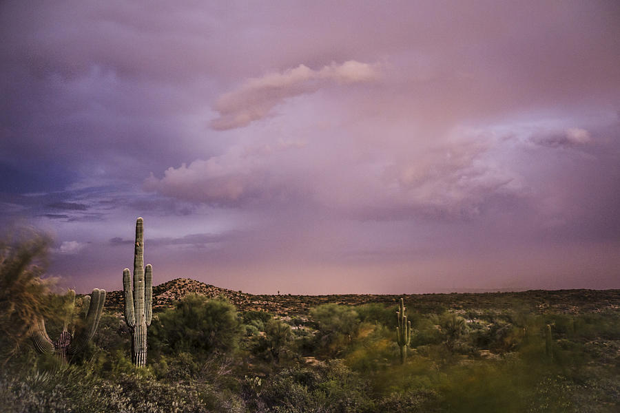 Desert Storm Photograph by Brad Scott